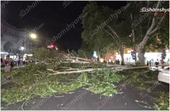 Մաշտոցի պողոտա–Ամիրյան փողոցների խաչմերուկում հսկայական ծառը տապալվել է՝ վնասելով ավտոմեքենաներ